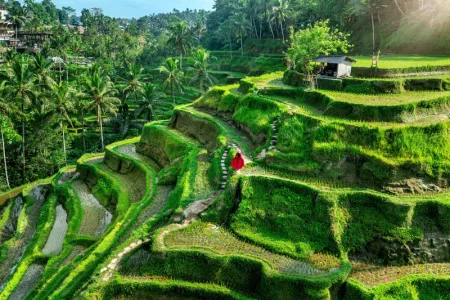 10 Days Bali Wildlife & Culture Trail
